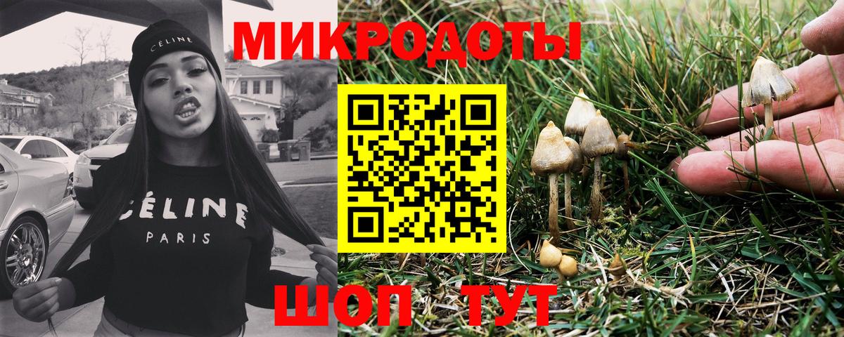 Псилоцибиновые грибы Psilocybe  Вход с VPN  Сланцы 