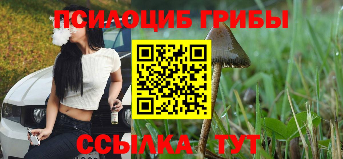 Псилоцибиновые грибы мицелий Сланцы